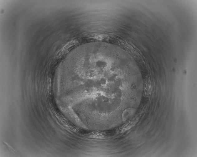 X0000085000656200703191051