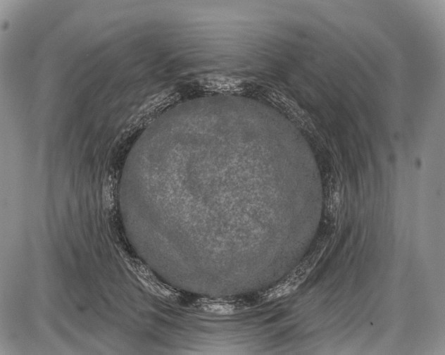 X0000085000658200703191051