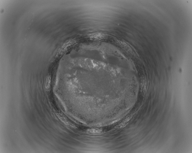 X0000085000660200703191051