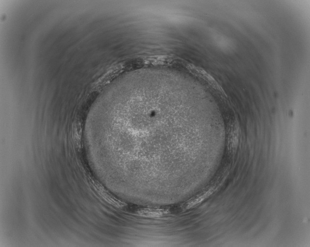 X0000085000661200703191051