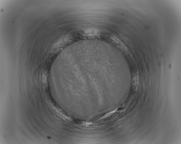 X0000085000662200703191051