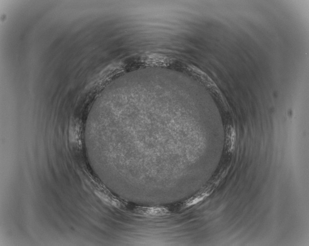 X0000085000663200703191051