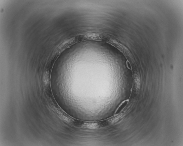 X0000085000665200703191051