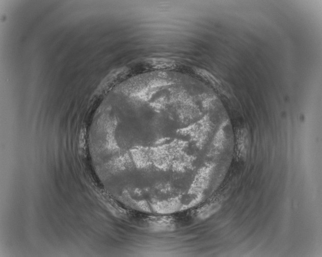 X0000085000667200703191051