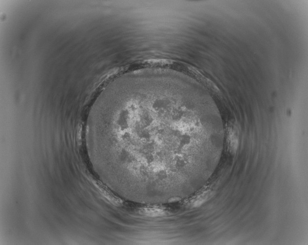 X0000085000668200703191051