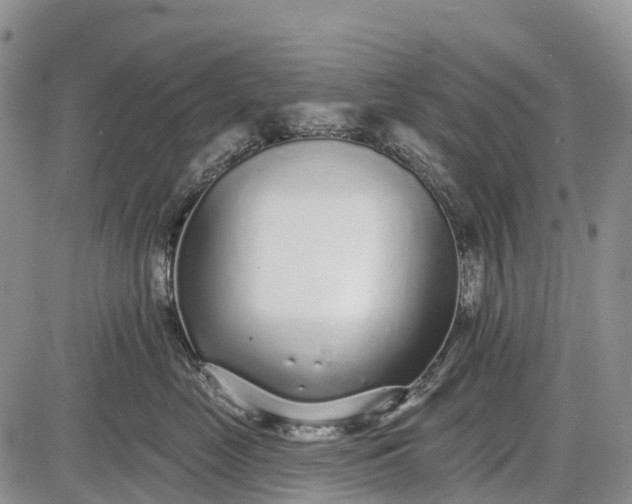 X0000085000669200703191051