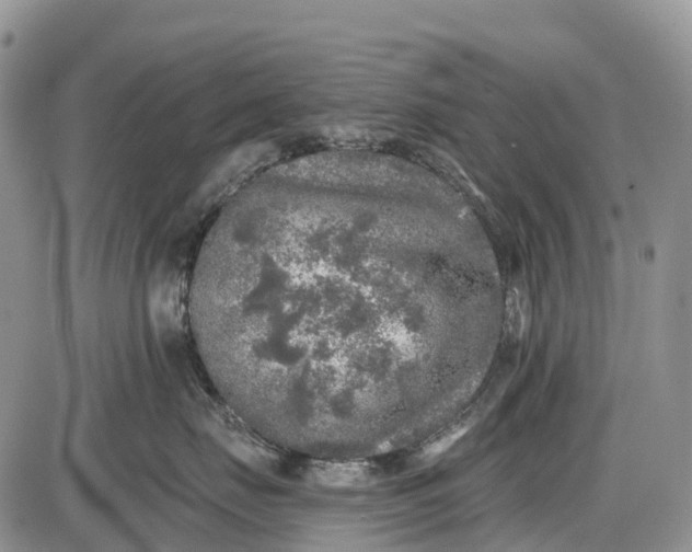 X0000085000671200703191051