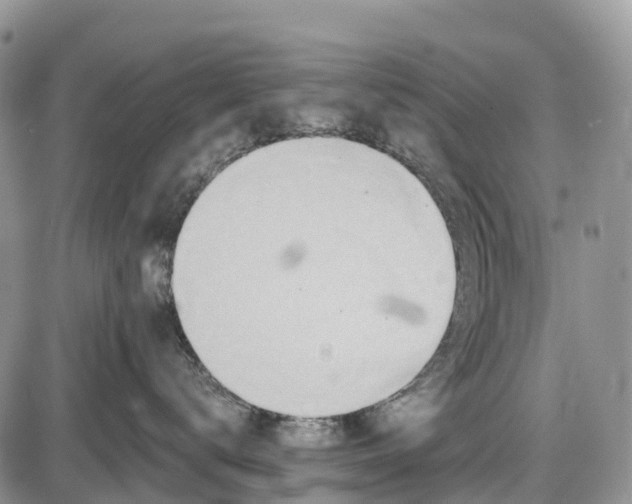 X0000085000672200703191051