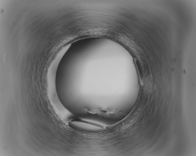 X0000085000673200703191050