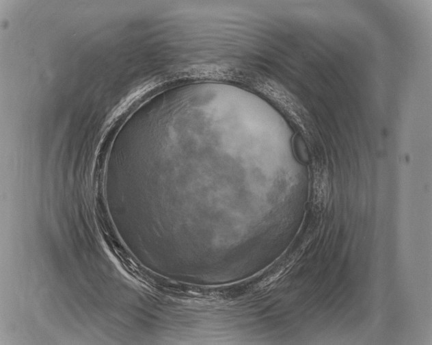 X0000085000674200703191050