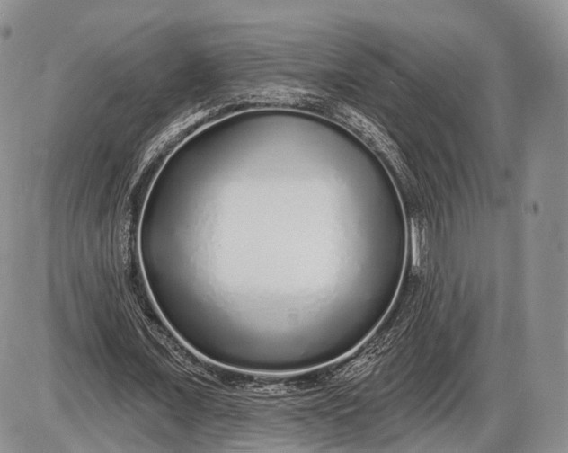 X0000085000675200703191050