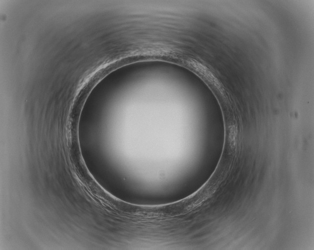 X0000085000676200703191050