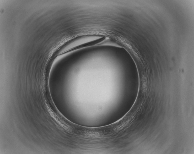 X0000085000677200703191050