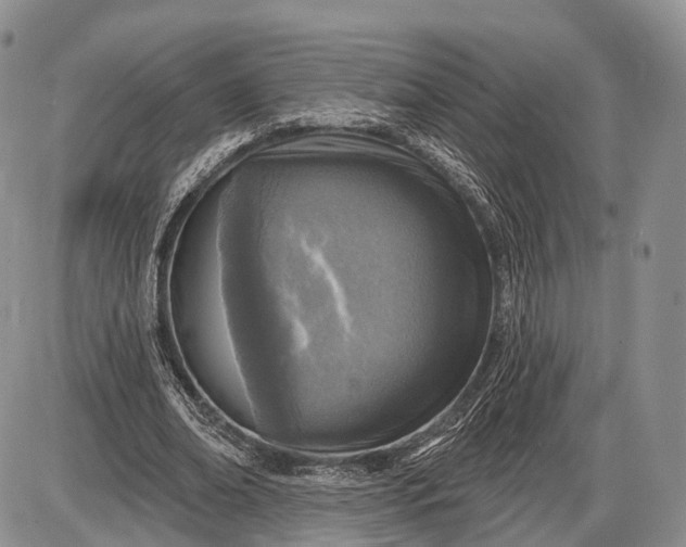 X0000085000678200703191050