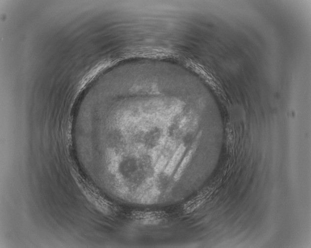 X0000085000679200703191050