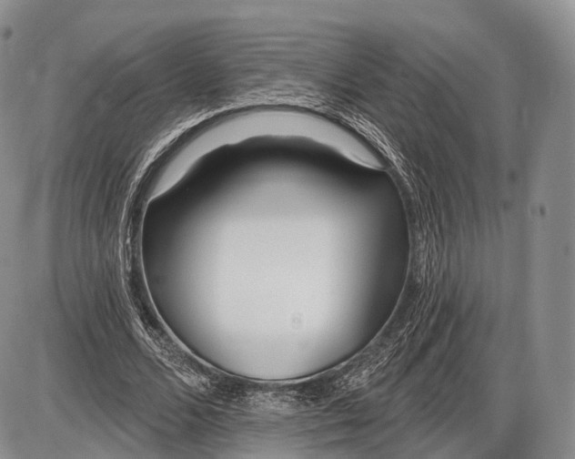 X0000085000680200703191050