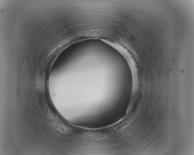 X0000085000681200703191050