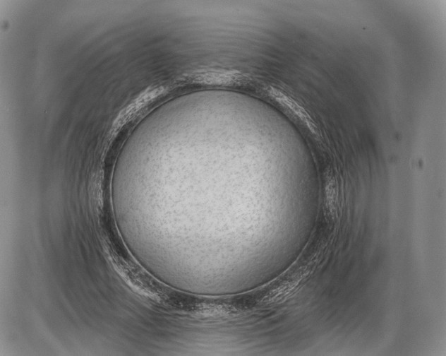 X0000085000682200703191050