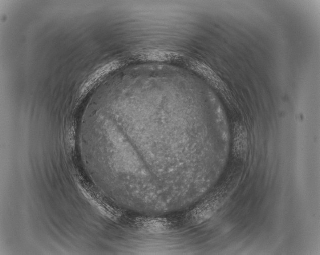 X0000085000683200703191050