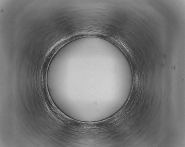 X0000085000684200703191050