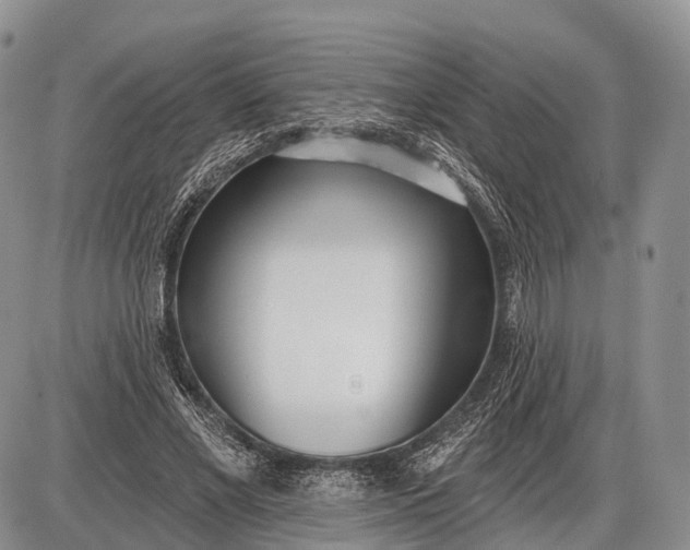 X0000085000685200703191050