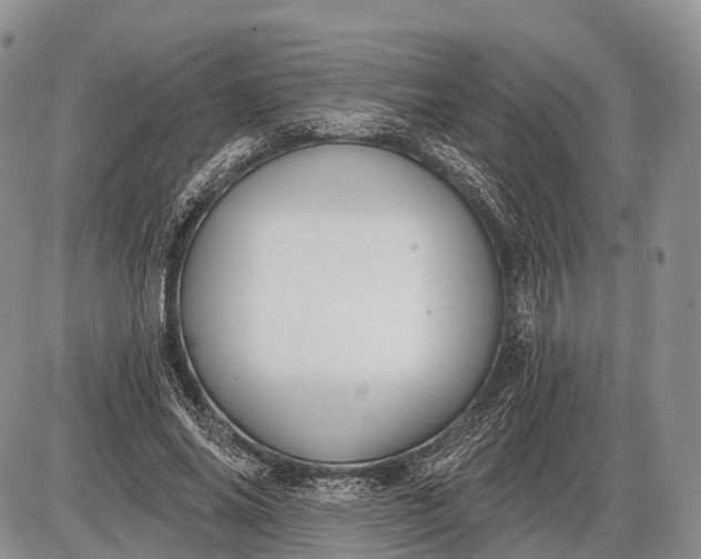 X0000085000686200703191050