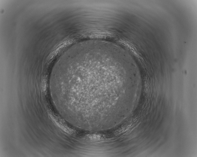 X0000085000687200703191050