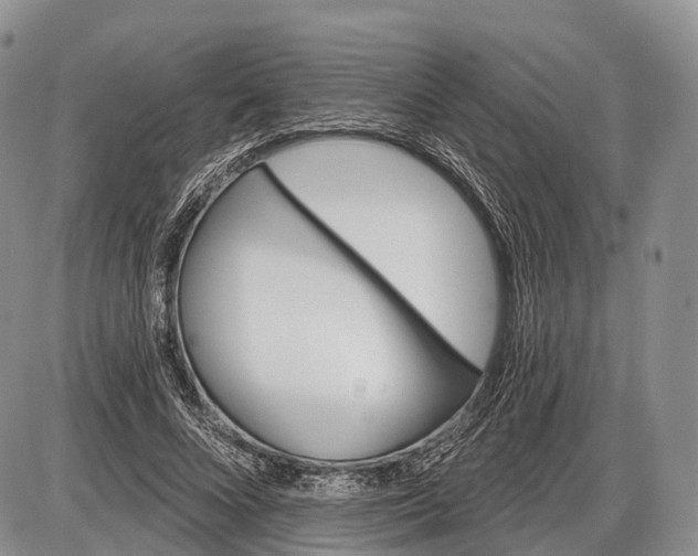 X0000085000688200703191050