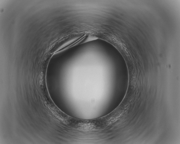 X0000085000689200703191050