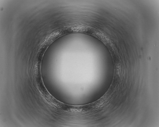 X0000085000690200703191050