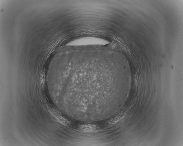 X0000085000691200703191050