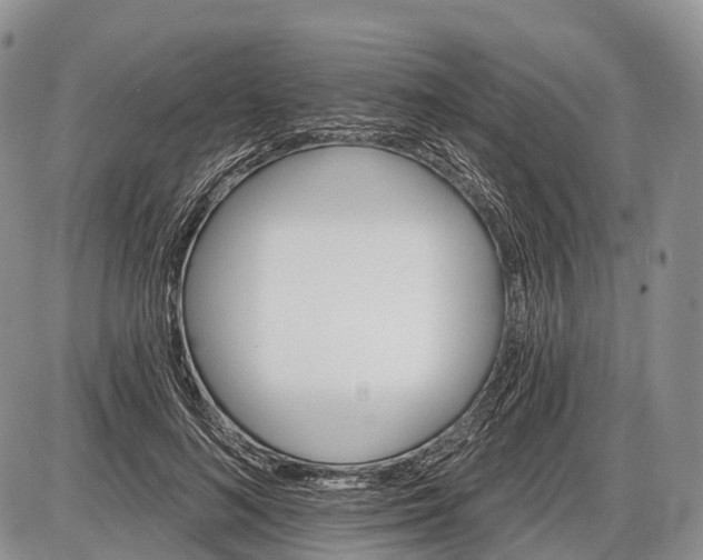 X0000085000692200703191050