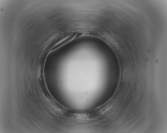 X0000085000693200703191050