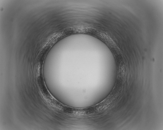 X0000085000694200703191050