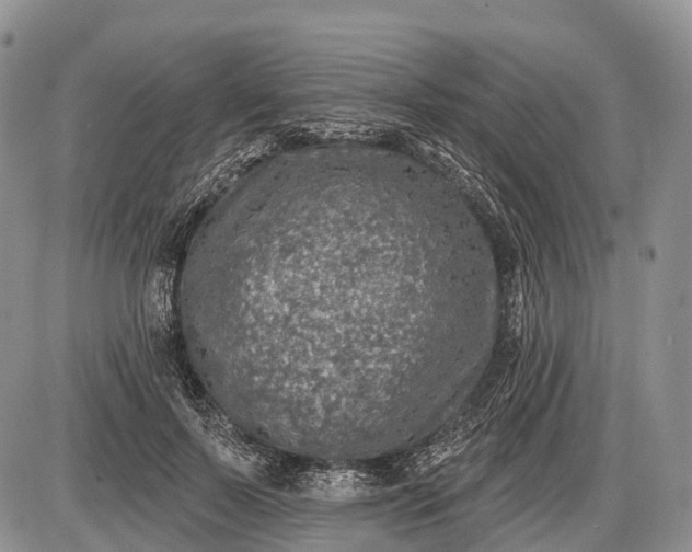 X0000085000695200703191050