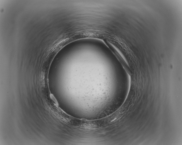 X0000085000696200703191050