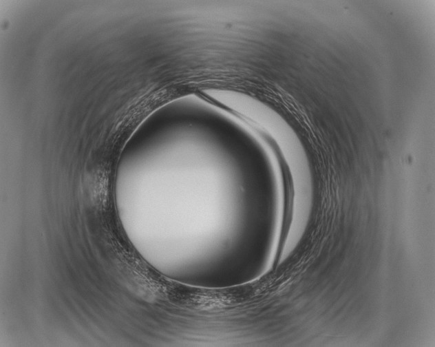 X0000085000697200703191050