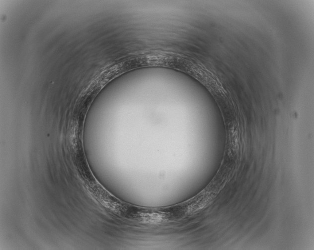 X0000085000698200703191050