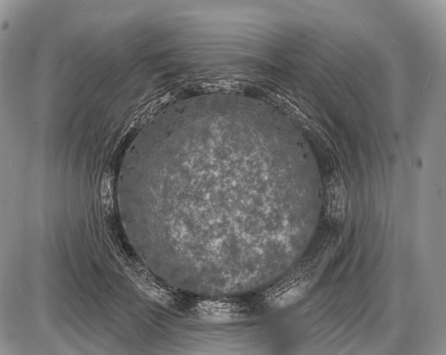 X0000085000699200703191050