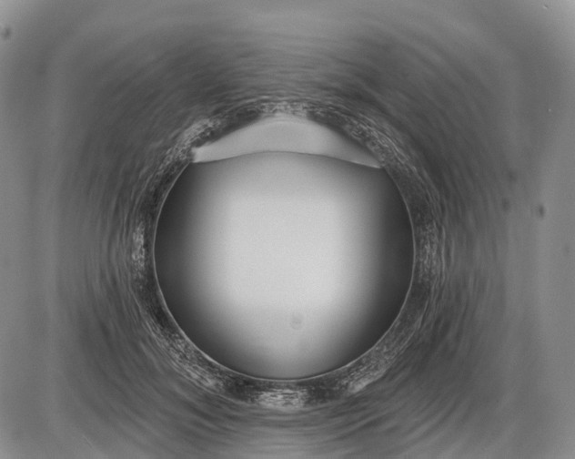 X0000085000700200703191050