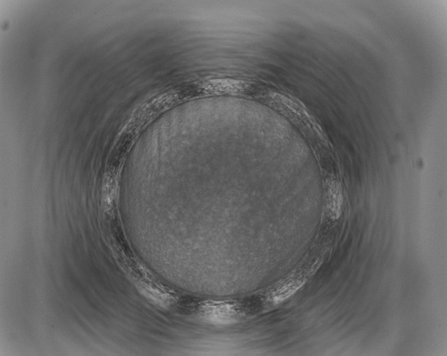 X0000085000701200703191050