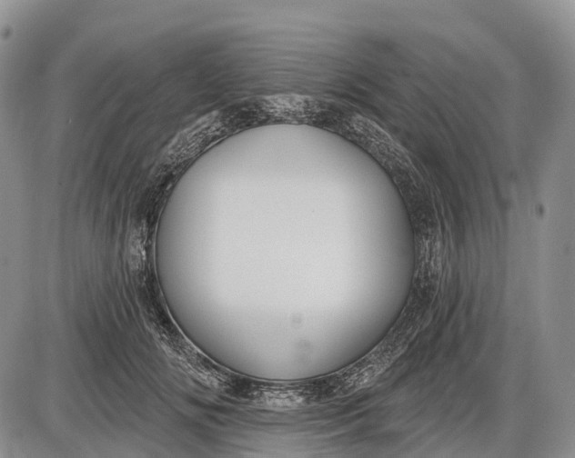 X0000085000702200703191050