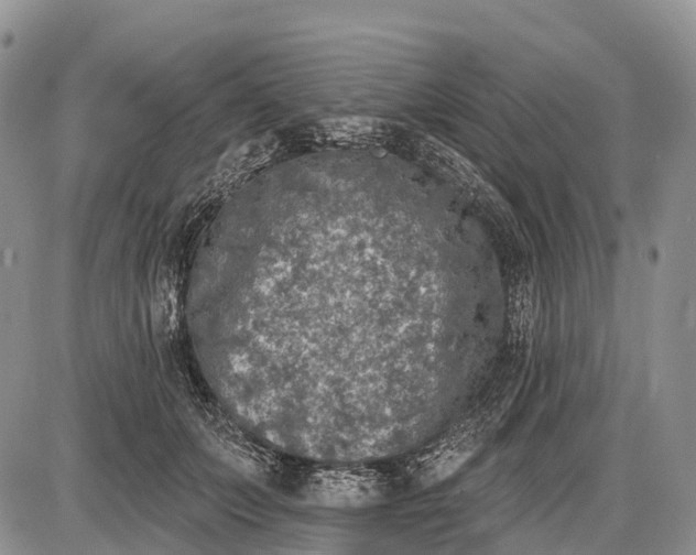 X0000085000703200703191050