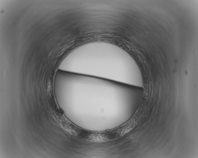 X0000085000704200703191050