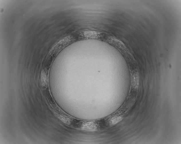 X0000085000705200703191050