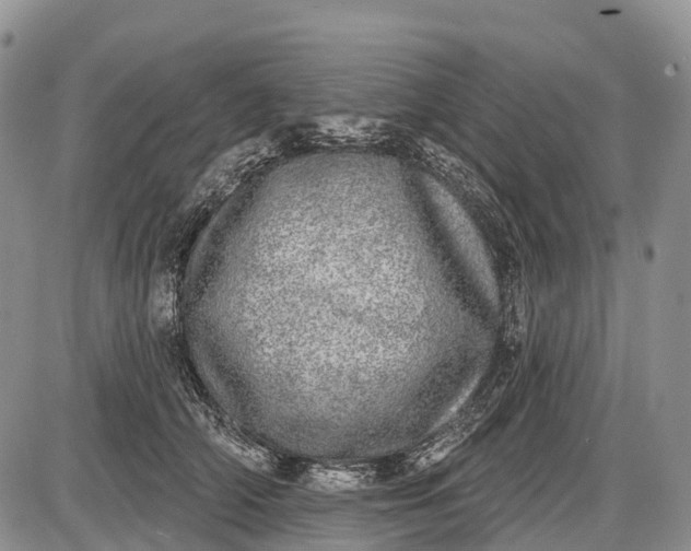 X0000085000706200703191050