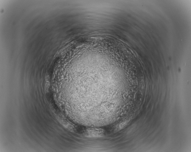 X0000085000707200703191050