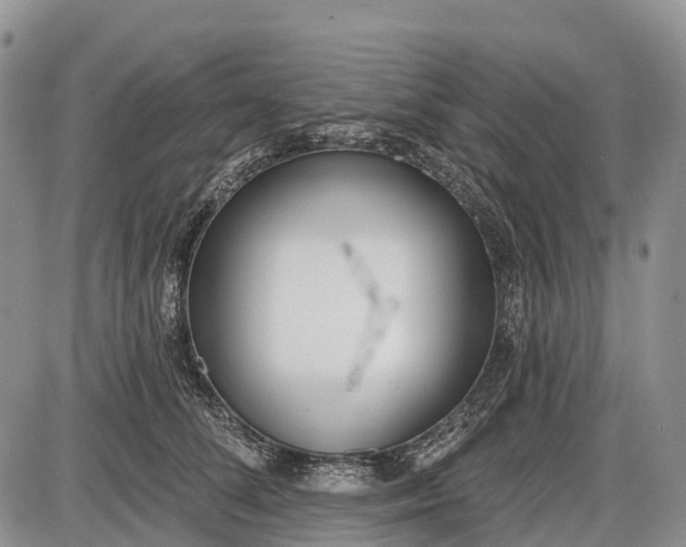 X0000085000708200703191050