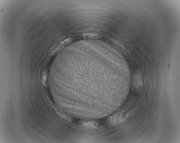 X0000085000709200703191050