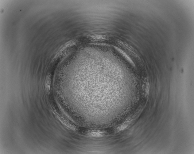 X0000085000710200703191050